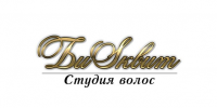 Логотип для студии волос "БиSквит"