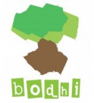 Drevo Bodhi - культурный центр