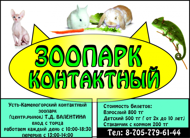 рекламный модуль в газету зоопарк