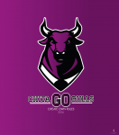 Логотип и фирменный стиль студенческого общества ChitaGoBulls