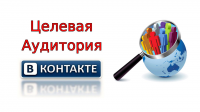 Сбор целевой аудитории ВКонтакте для Вашего бизнеса - 500 рублей
