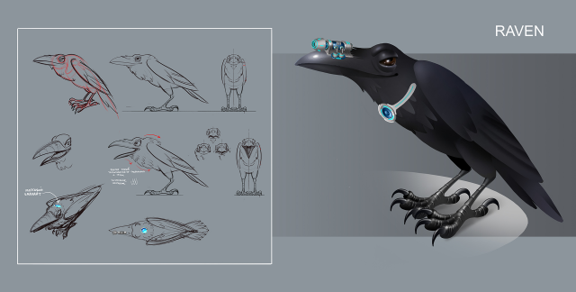raven