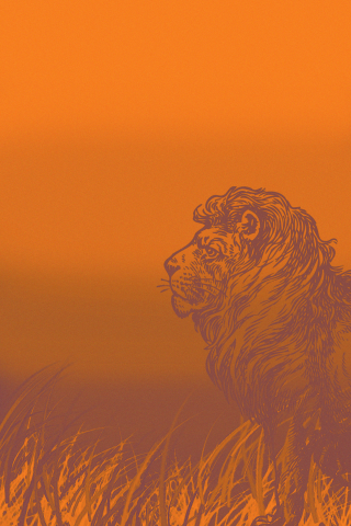 lion king