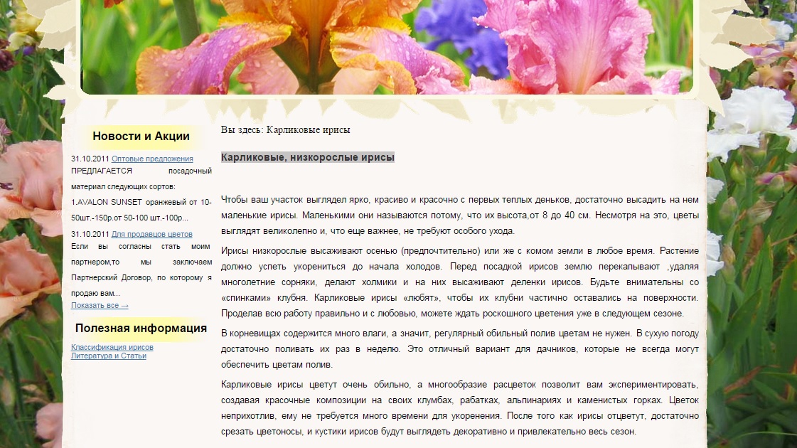 цветы.jpg