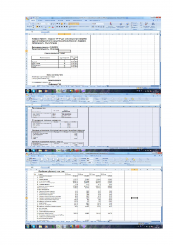Анализ окупаемости долгосрочного инвестиционного проекта