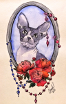 кот