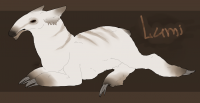 Lumi