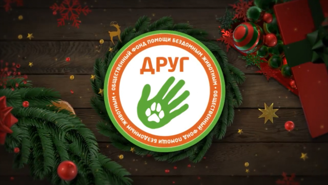 Слайдшоу для фонда «ДРУГ»