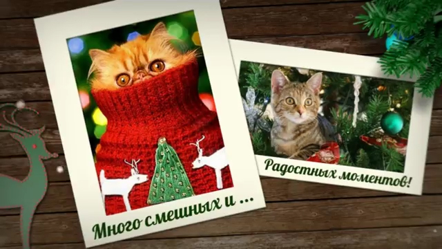 Слайдшоу «СОТВОРИ ЧУДО»