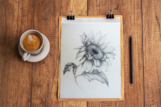 Flower illustration