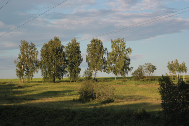 Работа 3187295