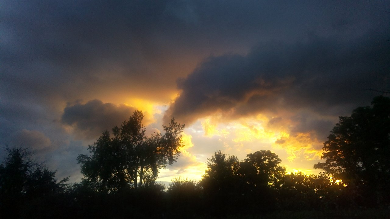 pic2653315.jpg