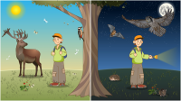 Day and night