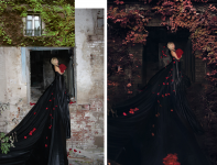 Работа 2971012