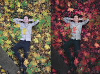 Работа 2955968