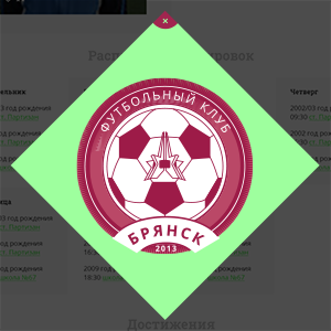 FC Bryansk child school
