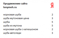 Магазин шуб, Москва
