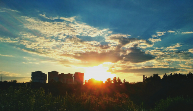 Работа 3191165