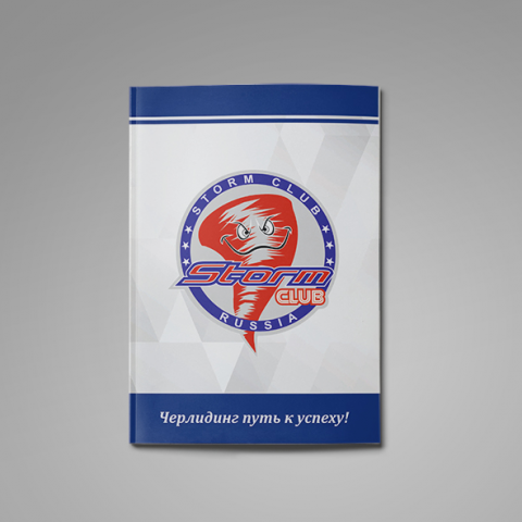 Разработка логотипа / фирм.