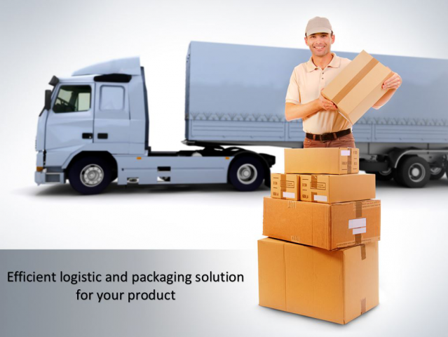 Development&Optimization of Logistic Solution