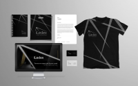 Айдентика для "iLedex"
