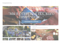 Портфолио для сайта ARAS