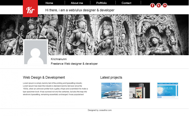 Web Designer Portfolio