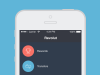 концепты оформления приложения REVOLUT