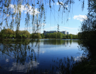 Склонились ивы над водой...