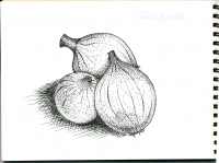 Графика на пакеты семян