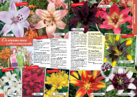 Разворот каталога