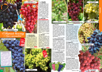 Разворот каталога