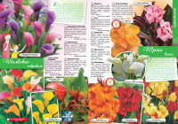 Разворот каталога