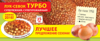 Лук севок