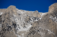 Работа 1099620