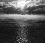 Работа 208548