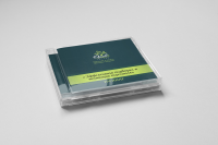 Дизайн вкладышей для дисков в фирменного стиле