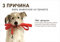 серия социальных плакатов
