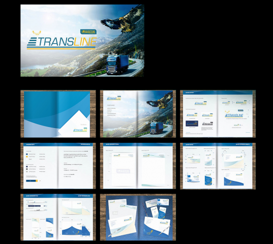 Разработанный брендбук для логистической компании Trans Line