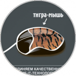 кибер-мыши