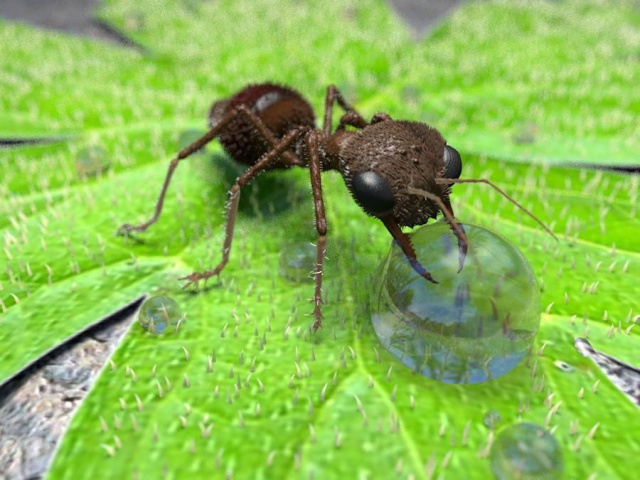 Работа 3165670