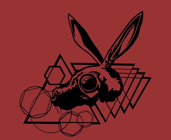 rabbit