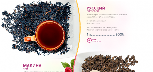 Копия сайта 1