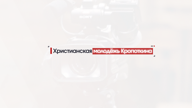 Работа 3178458