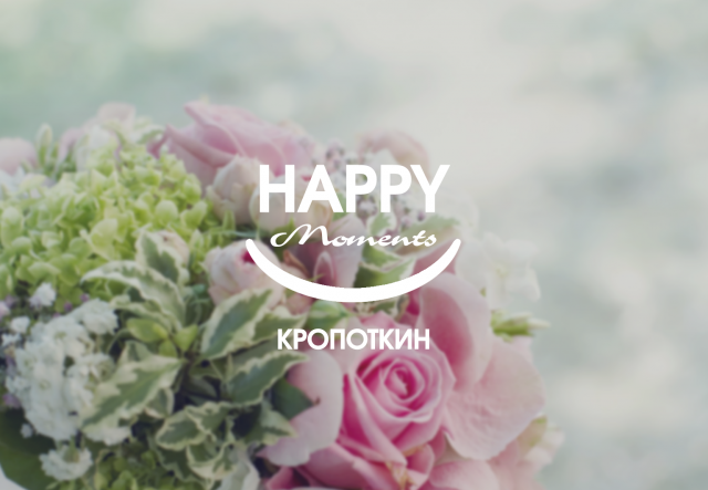 Работа 3178474