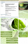Studio Lime