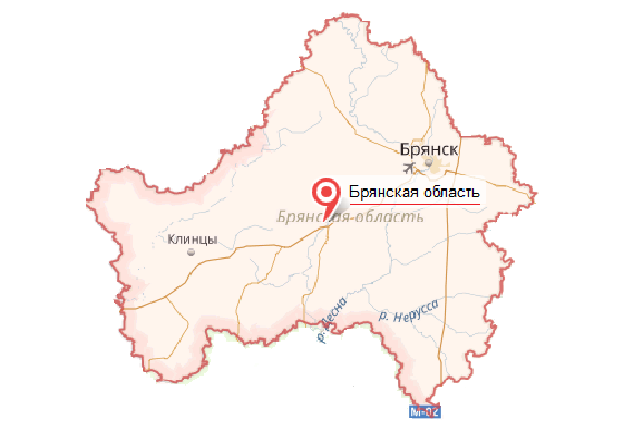 Брянская область - услуги таможенного брокера