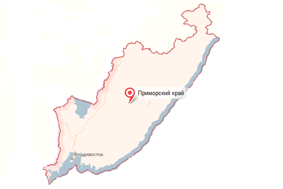 Приморский край - услуги таможенного брокера