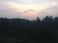 Красота перед носом