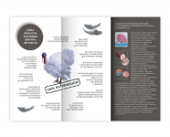 Booklet Turkey